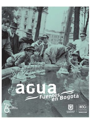 cover image of Agua-Fuentes en Bogotá